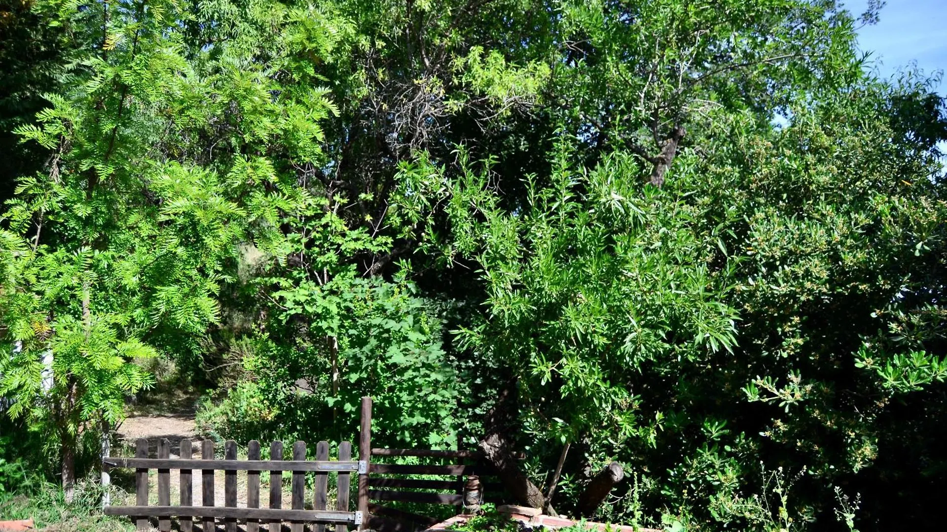 Casa Jardin Natural Sedella