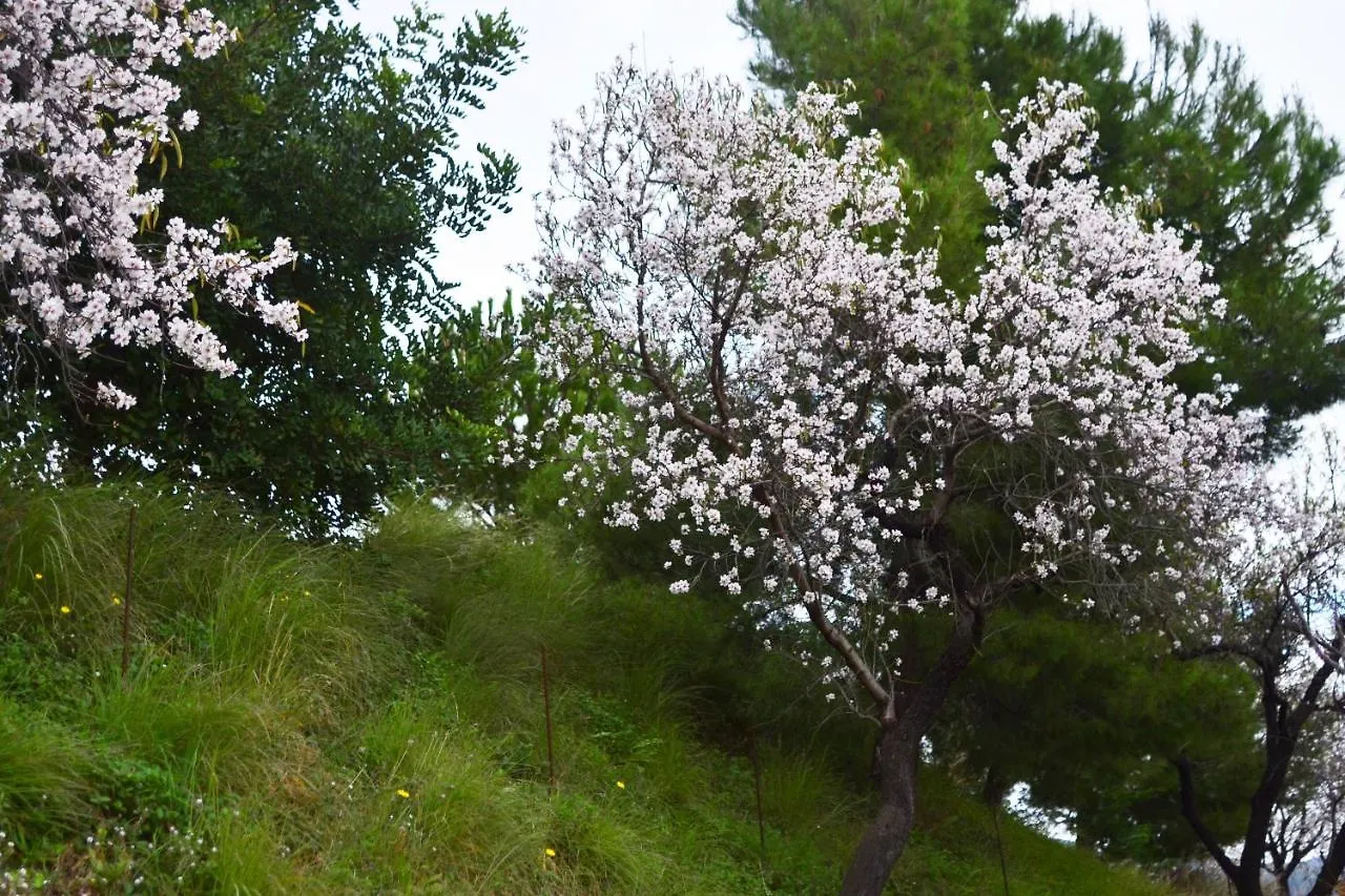 Casa Jardin Natural Sedella Spain