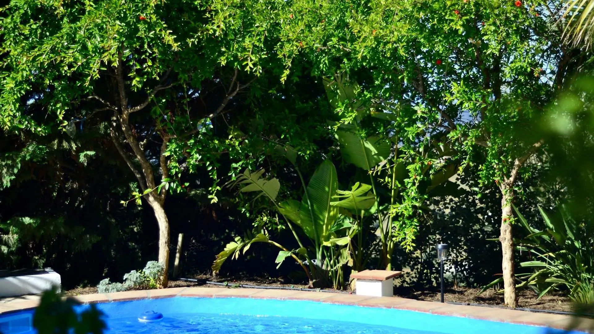 Casa Jardin Natural Sedella Villa